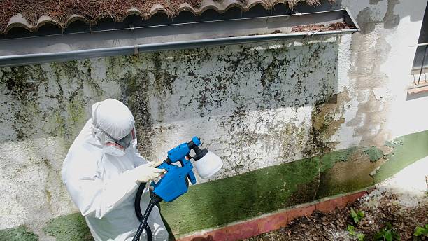 Top rated local Crawl Space Mold Remediation specialists in Millerstown, PA